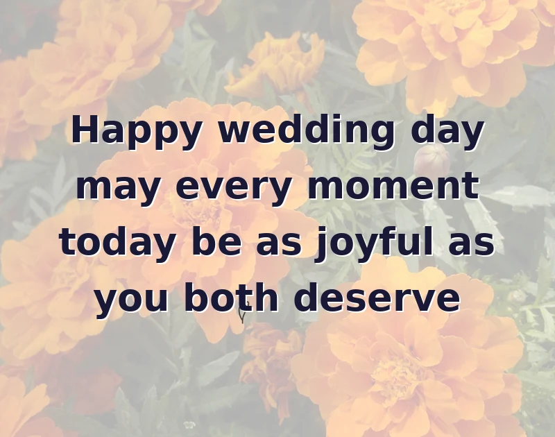 wedding wishes: Happy wedding day may every moment today be as joyful as you both deserve