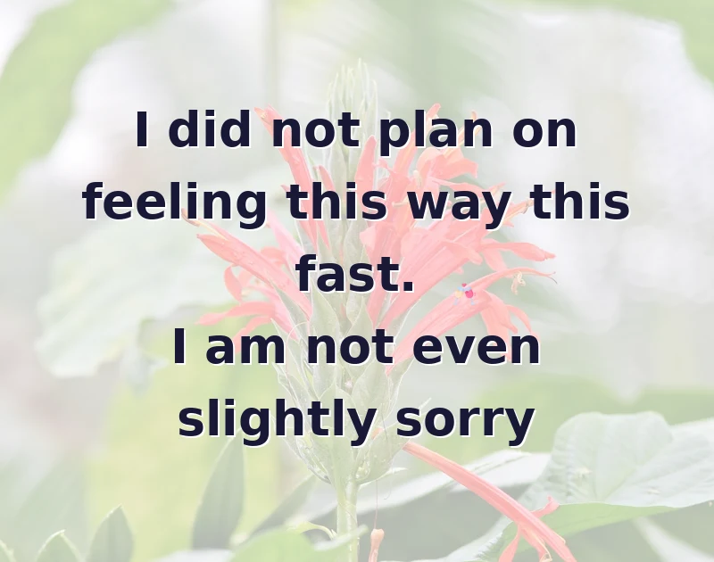 love messages: I did not plan on feeling this way this fast. I am not even slightly sorry