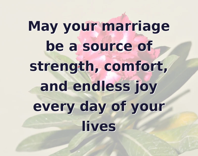 May your marriage be a source of strength, comfort, and endless joy every day of your lives