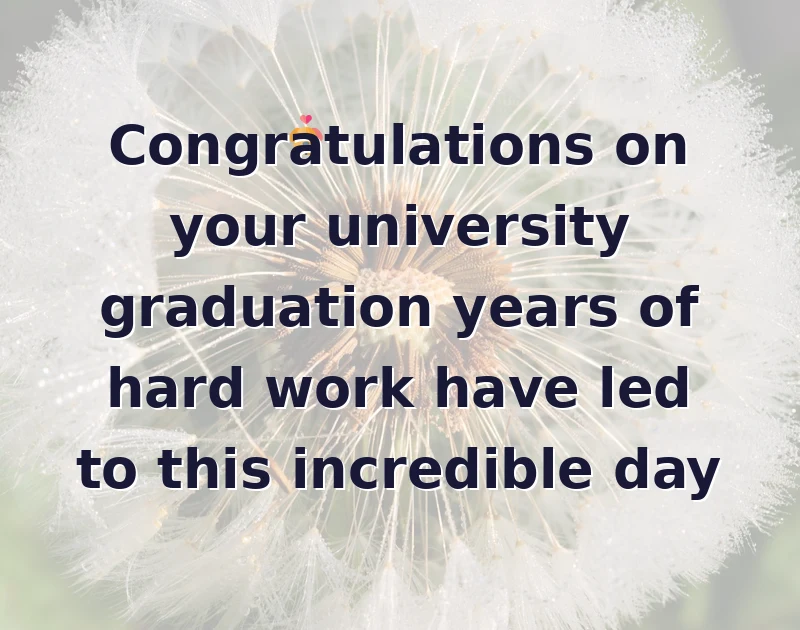 Congratulations on your university graduation years of hard work have led to this incredible day