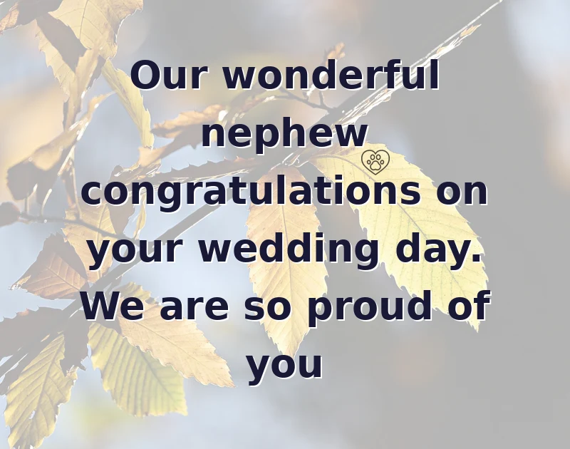 wedding wishes: Our wonderful nephew congratulations on your wedding day. We are so proud of you