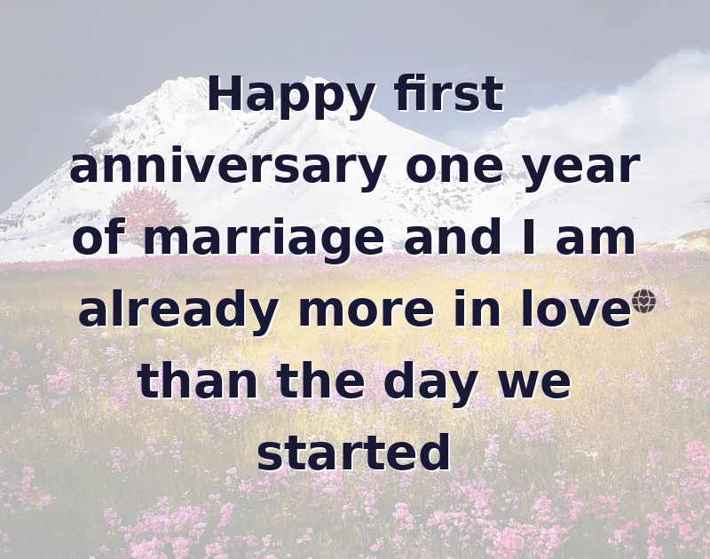 Happy first anniversary one year of marriage and I am already more in love than the day we started