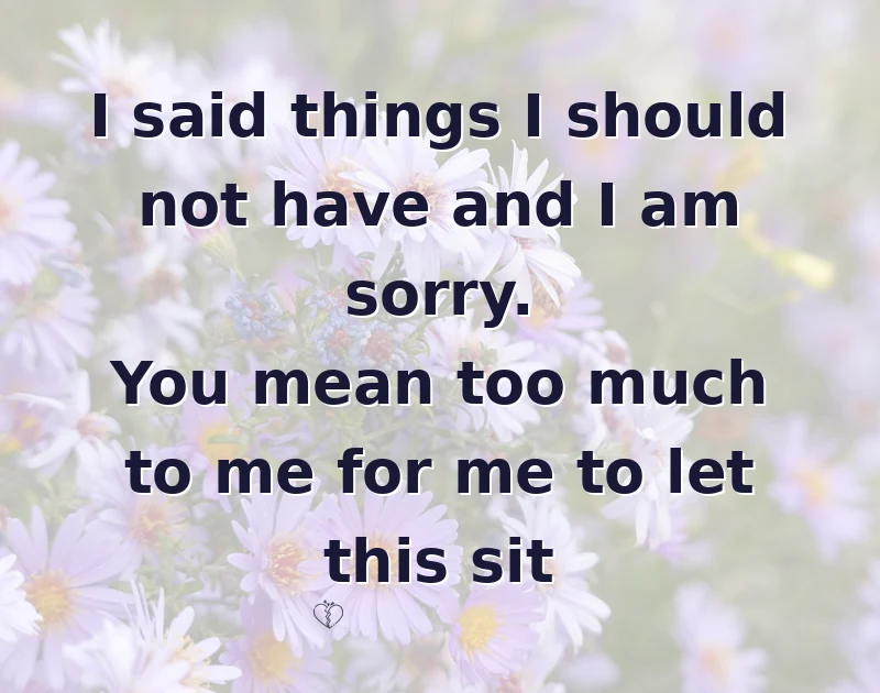 I said things I should not have and I am sorry. You mean too much to me for me to let this sit