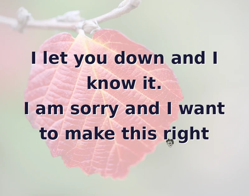 I let you down and I know it. I am sorry and I want to make this right