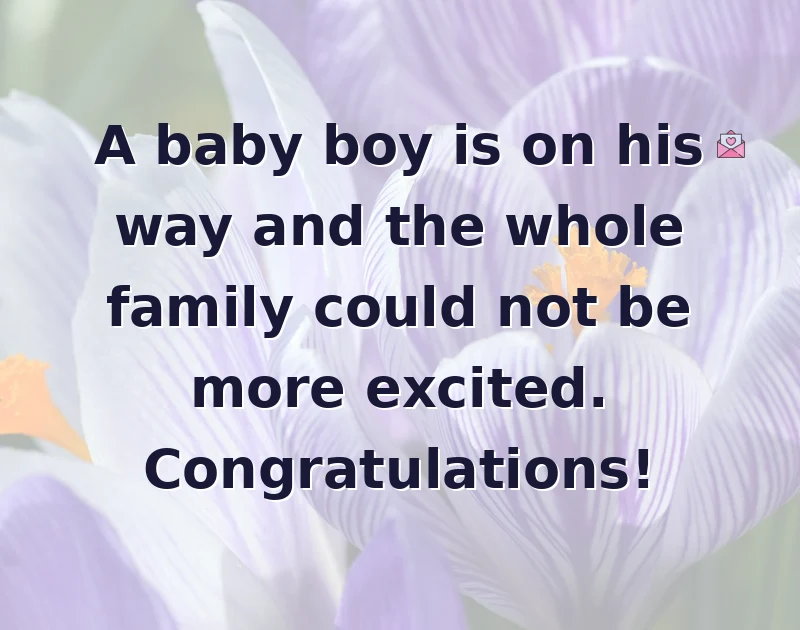 baby shower wishes: A baby boy is on his way and the whole family could not be more excited. Congratulations!