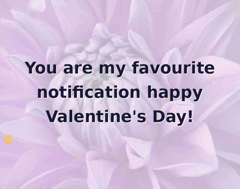 You are my favourite notification happy Valentine's Day!