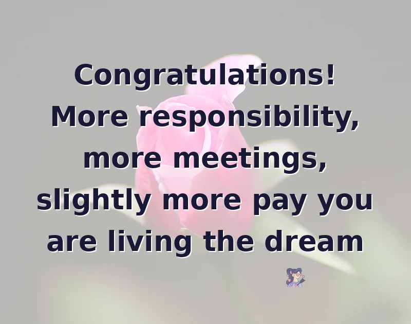 promotion wishes: Congratulations! More responsibility, more meetings, slightly more pay you are living the dream