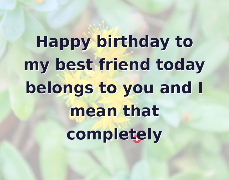 Happy birthday to my best friend today belongs to you and I mean that completely