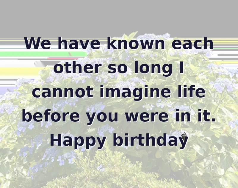 happy birthday to my best friend: We have known each other so long I cannot imagine life before you were in it. Happy birthday