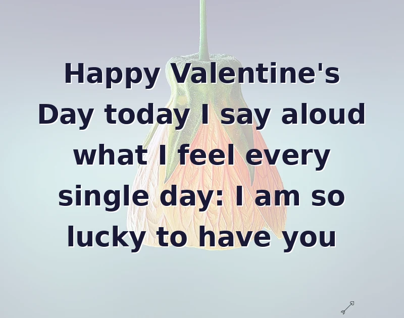 Happy Valentine's Day today I say aloud what I feel every single day: I am so lucky to have you