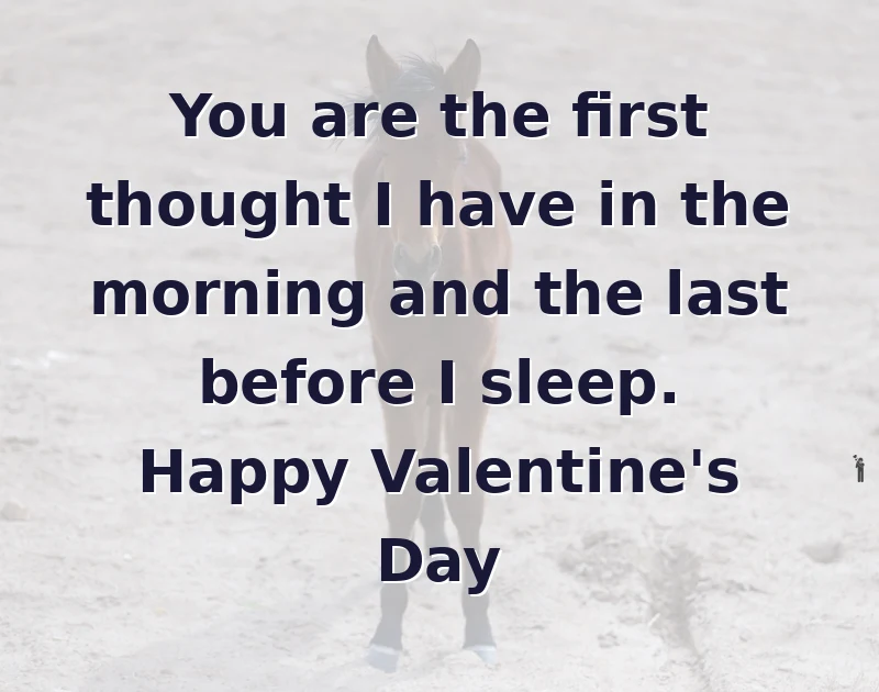You are the first thought I have in the morning and the last before I sleep. Happy Valentine's Day