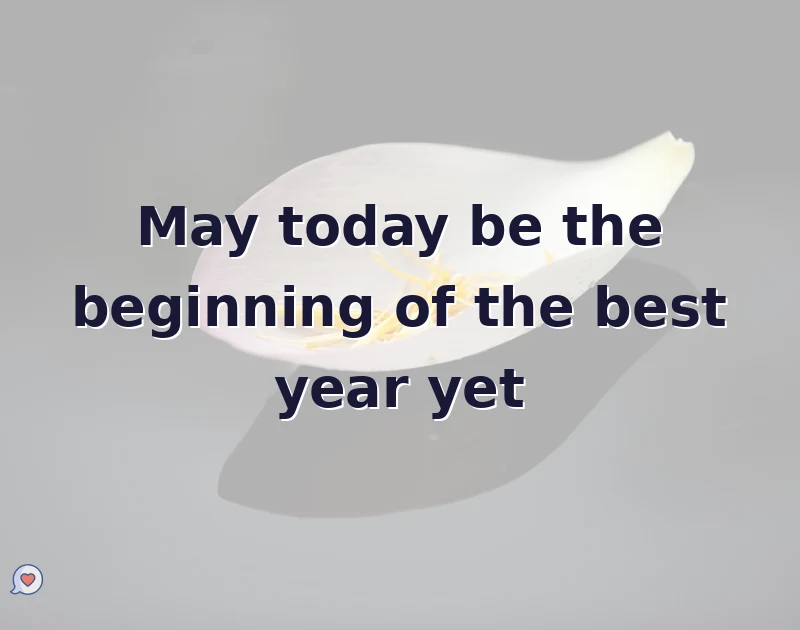birthday wishes quotes: May today be the beginning of the best year yet