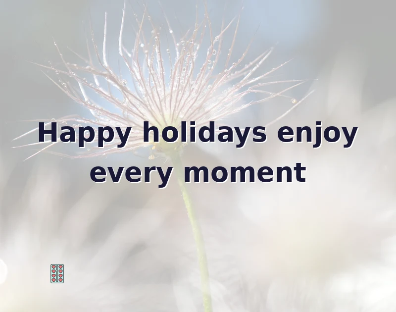 happy holidays messages: Happy holidays enjoy every moment