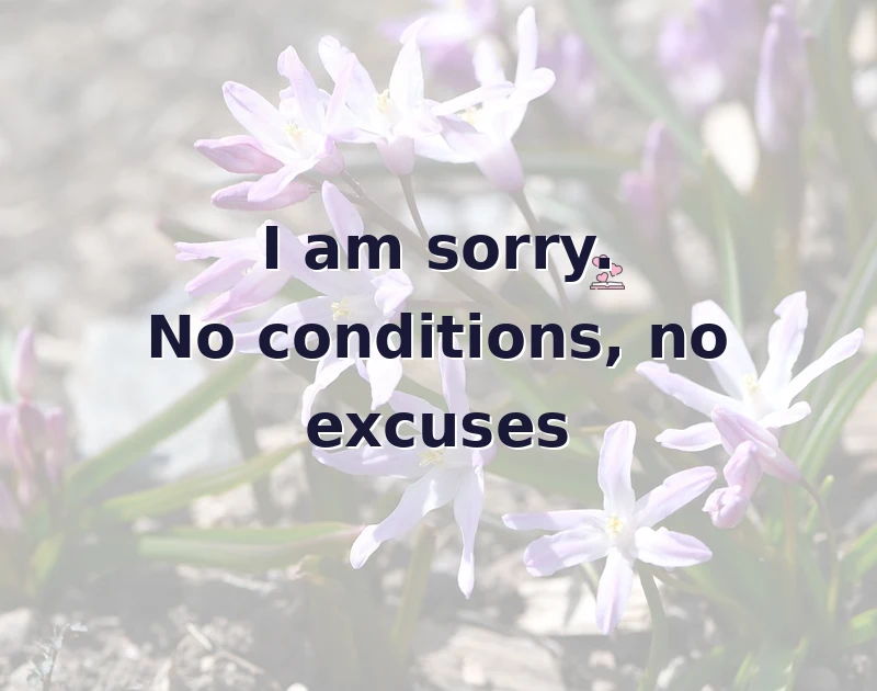 apology messages: I am sorry. No conditions, no excuses